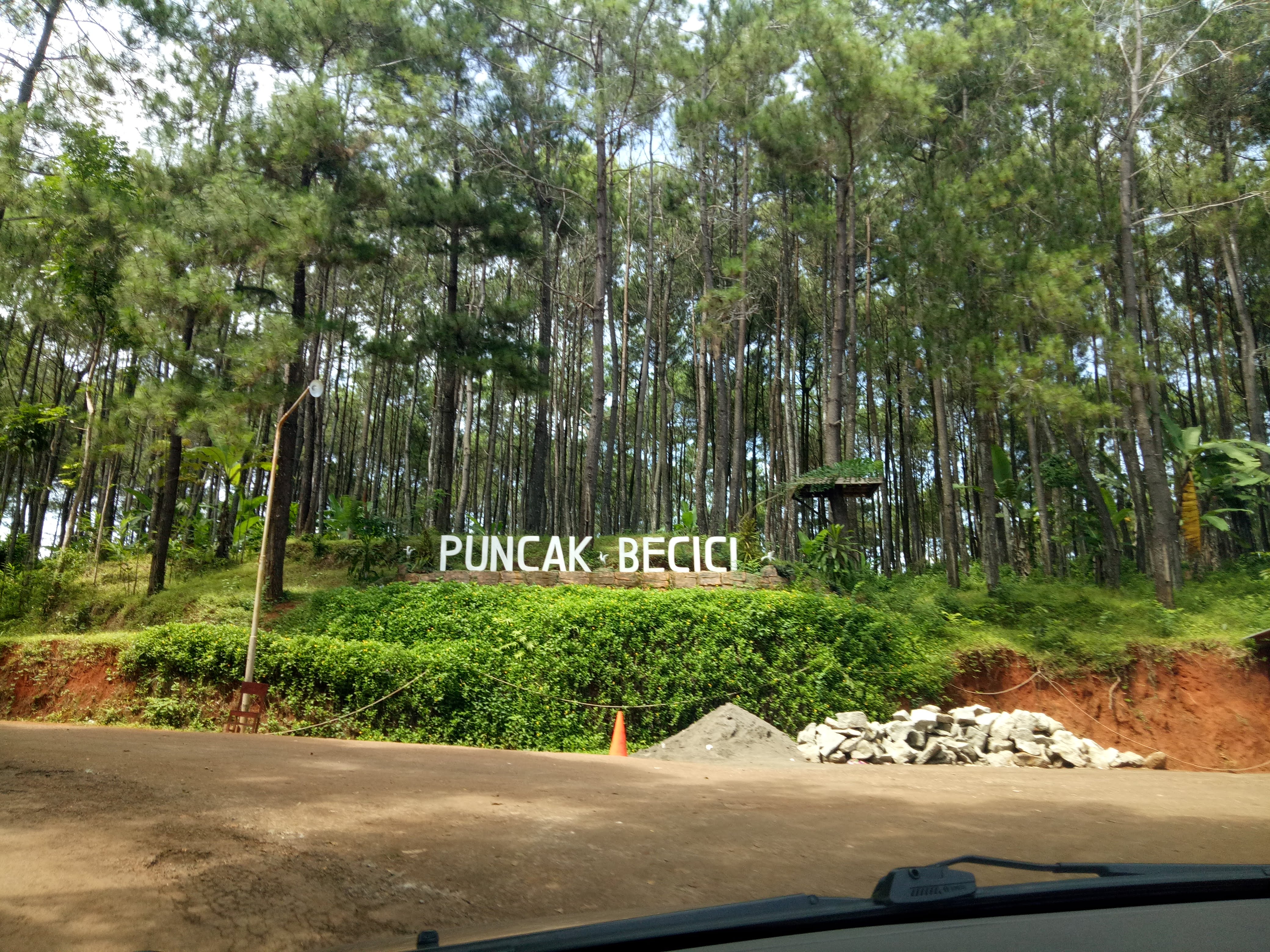 Puncak Pinus Becici