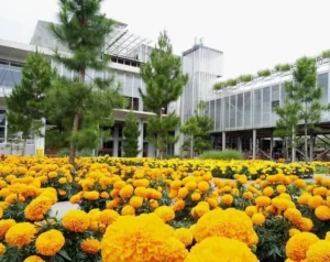 Wisata Rumah Atsiri Solo